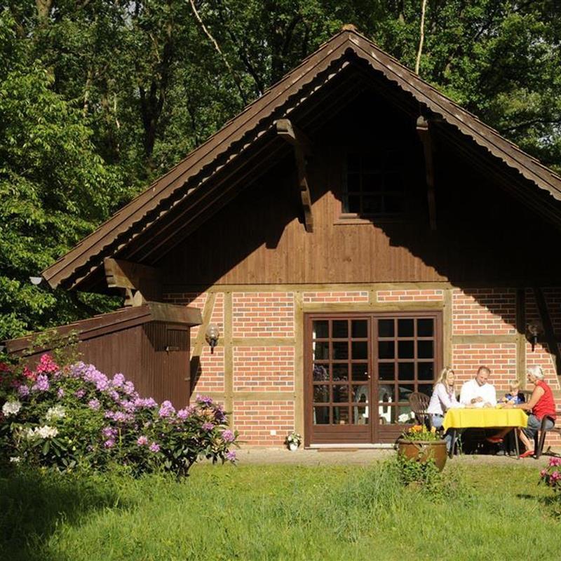 Sommerhus - 8 personer -  - Fasanensteg - 29646 - Bispingen