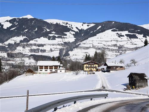 Ferienhaus - 4 Personen -  - Löschenbrandweg - 5730 - Mittersill