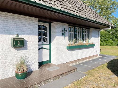 Sommerhus - 4 personer -  - Amselweg - 25826 - St. Peter-Ording