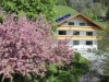 Bild 63