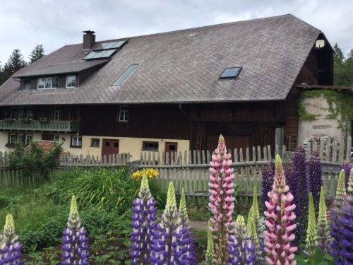 Bondehus - 5 personer -  - 78112 - St.Georgen