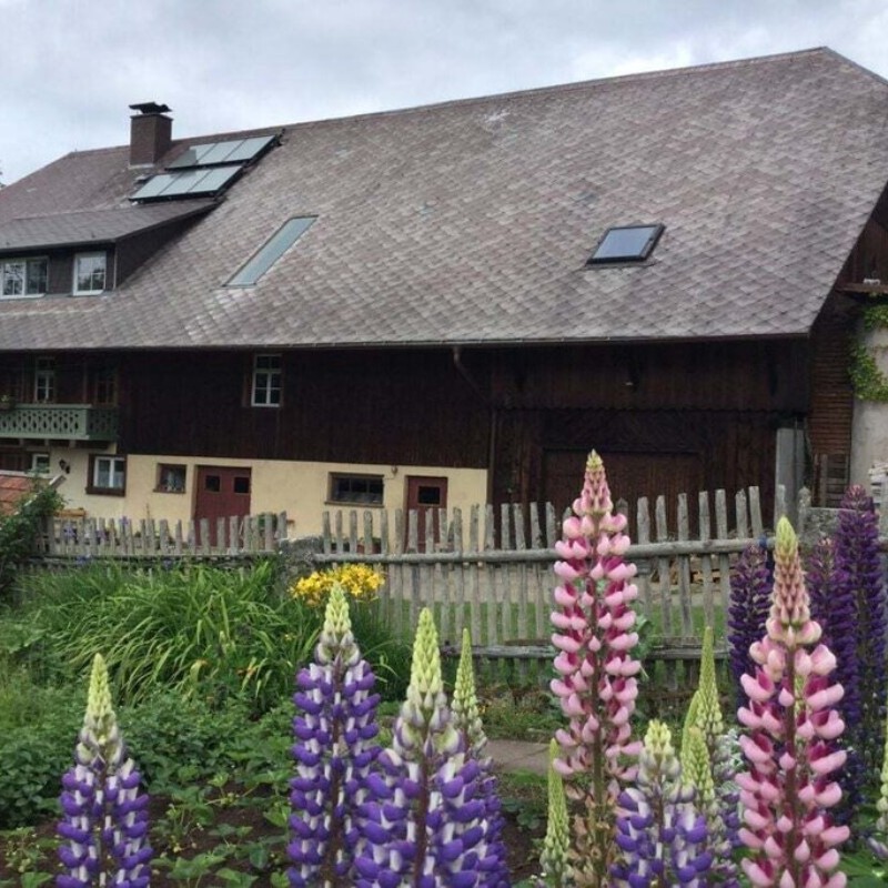 Bondehus - 5 personer -  - 78112 - St.Georgen