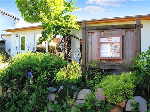 Holiday apartment - 3 persons -  - Karlstr. - 17459 - Kölpinsee/Usedom