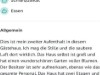 Bilde 41