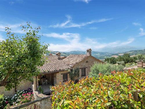 Ferielejlighed - 2 personer -  - 62020 - Monte San Martino