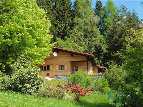 Sommerhus - 4 personer -  - 94269 - Rinchnach