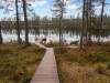 Bild 3 - Inde
