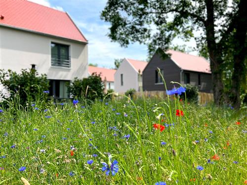 Semesterhus/Semesterlägenhet - 2 personer -  - Büchelberg - 91710 - Gunzenhausen