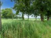 Image 24