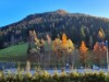 Bild 17