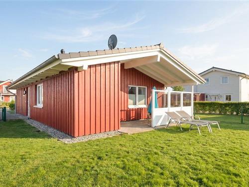 Ferienhaus - 4 Personen -  - Möwennest - 25899 - Dagebüll