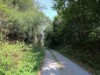 Bild 32