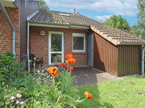 Holiday apartment - 5 persons -  - Urlauberdorf - 23946 - Boltenhagen