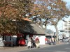 Bild 26