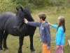Bild 16