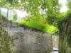 Image 22