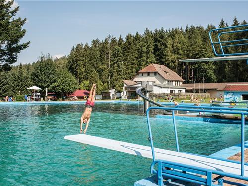 Sommerhus - 4 personer -  - Altensteiner Straße - 99842 - Ruhla