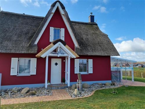 Ferienhaus - 4 Personen -  - De Poeler Drift 39 b - 23968 - Zierow