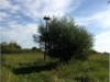 Bild 17