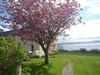 Bilde 2