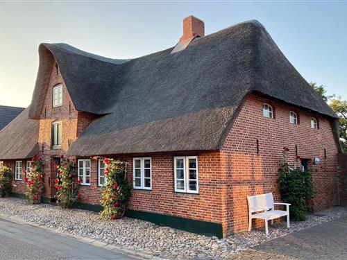 Sommerhus - 4 personer -  - Haus - 25938 - Oldsum