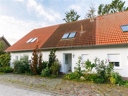 Feriehus / leilighet - 7 personer -  - Koserow - 17459