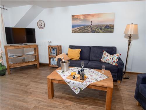 Objekt Nr.: 305-DE2981.145.4