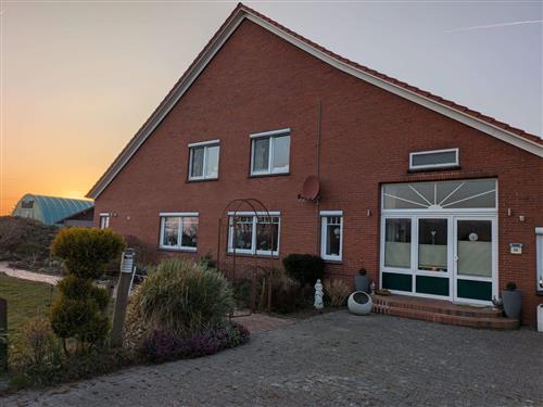 Ferieleilighet - 3 personer -  - Hage - 26524