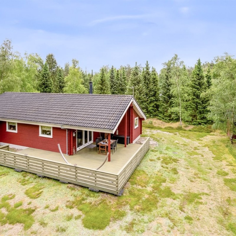 Sommerhus - 6 personer -  - Mads's Plantage - Helberskov - 9560 - Hadsund