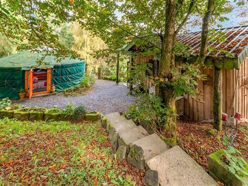 Feriehus - 4 personer -  - 6660 - Houffalize