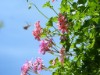 Billede 4