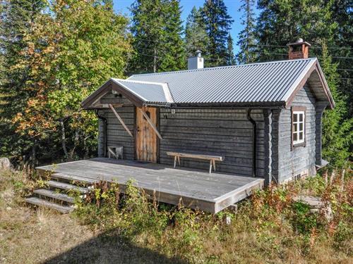 Holiday home - 4 persons -  - Gusjösäterns Fäbod - Sälen/Gusjösätern - 780 91 - Sälen