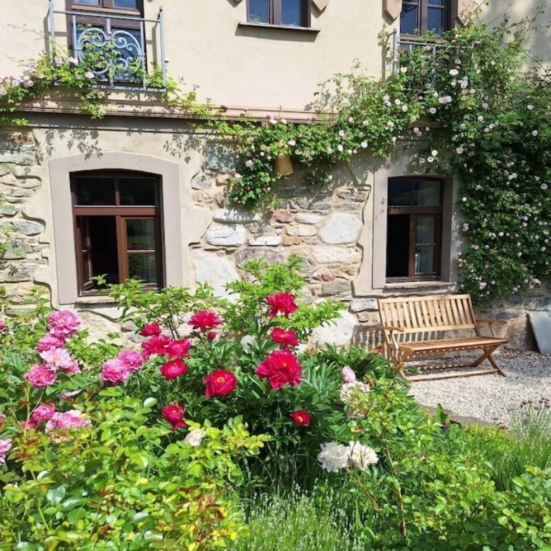 Sommerhus - 4 personer -  - 01773 - Rehefeld- Zaunhaus