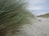 Billede 16