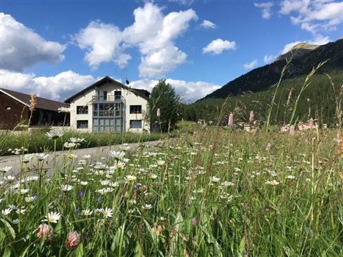 Ferielejlighed - 2 personer -  - Silvaplana-Surlej - 7513