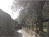Image 35
