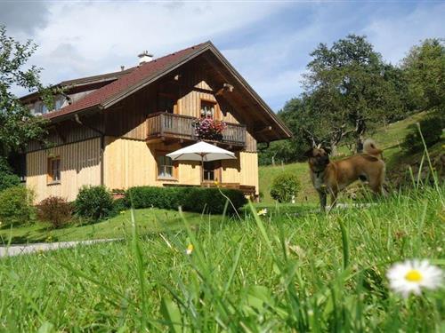 Ferienhaus - 7 Personen -  - 9441 - Waldenstein