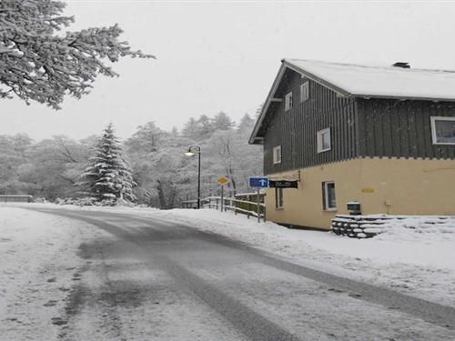 Ferielejlighed - 6 personer -  - 38889 - Rübeland