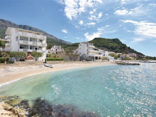 Ferielejlighed - 5 personer -  - Cesta Mutogras - Split-Podstrana - 21312 - Podstrana