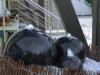 Bild 15