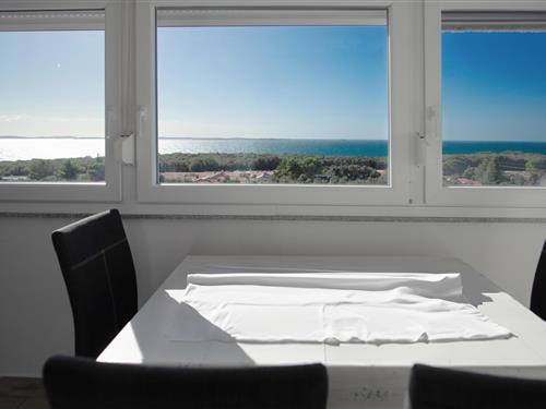 Holiday apartment - 4 persons -  - Stara Korta - Barbariga-Betiga - 52215 - Barbariga