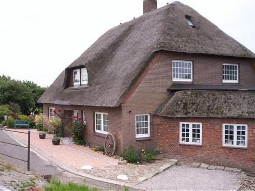 Holiday apartment - 2 persons -  - Kleiseerkoogsdeich - 25899 - Galmsbüll