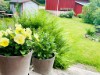 Bild 23 - Ude