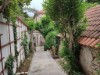 Bilde 6