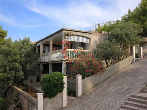 Holiday apartment - 2 persons -  - Prigradica 114, Prigradica - 20271 - Blato