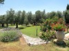 Image 50 - Outside