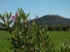 Bild 35