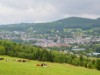 Bild 33