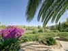 Image 38 - Outside
