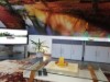 Bild 19